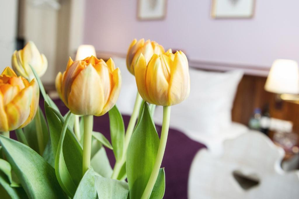 נירנברג Hotel Elch מראה חיצוני תמונה